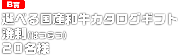 選べる国産和牛カタログギフト溌剌(はつらつ)20名様